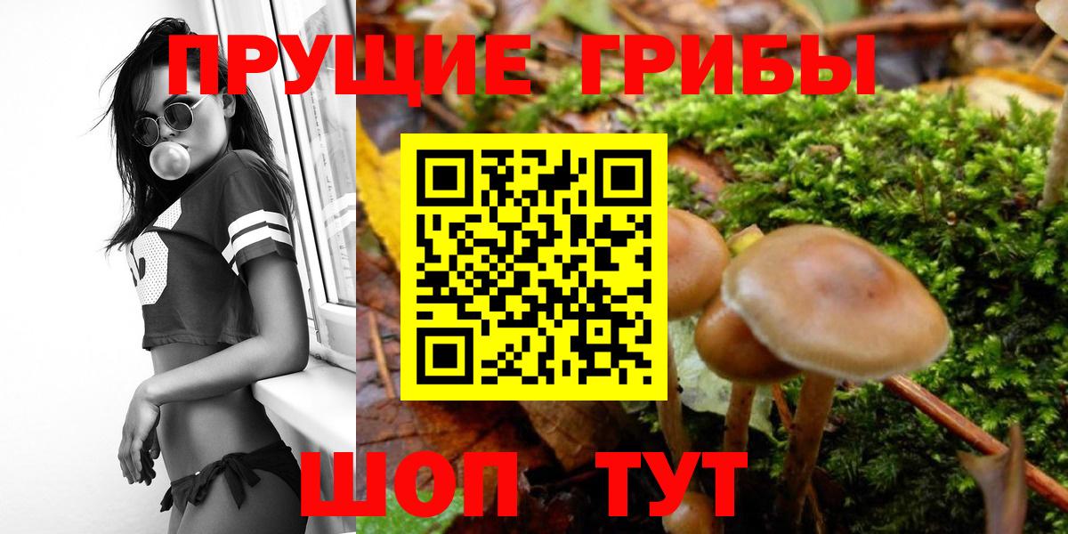 Галлюциногенные грибы Magic Shrooms Тимашёвск