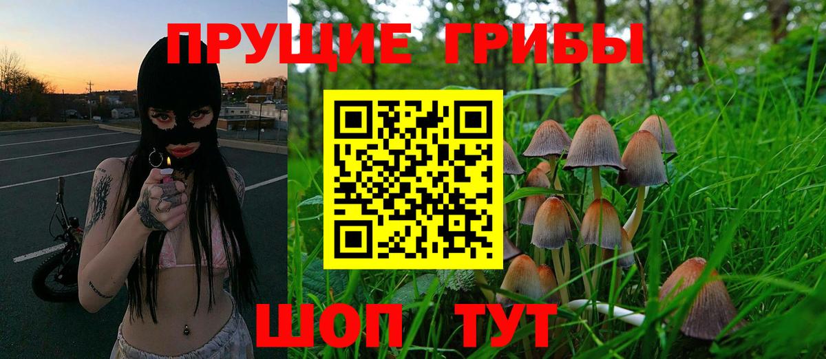 Псилоцибиновые грибы Psilocybe  Вход с VPN  где найти   Тимашёвск 